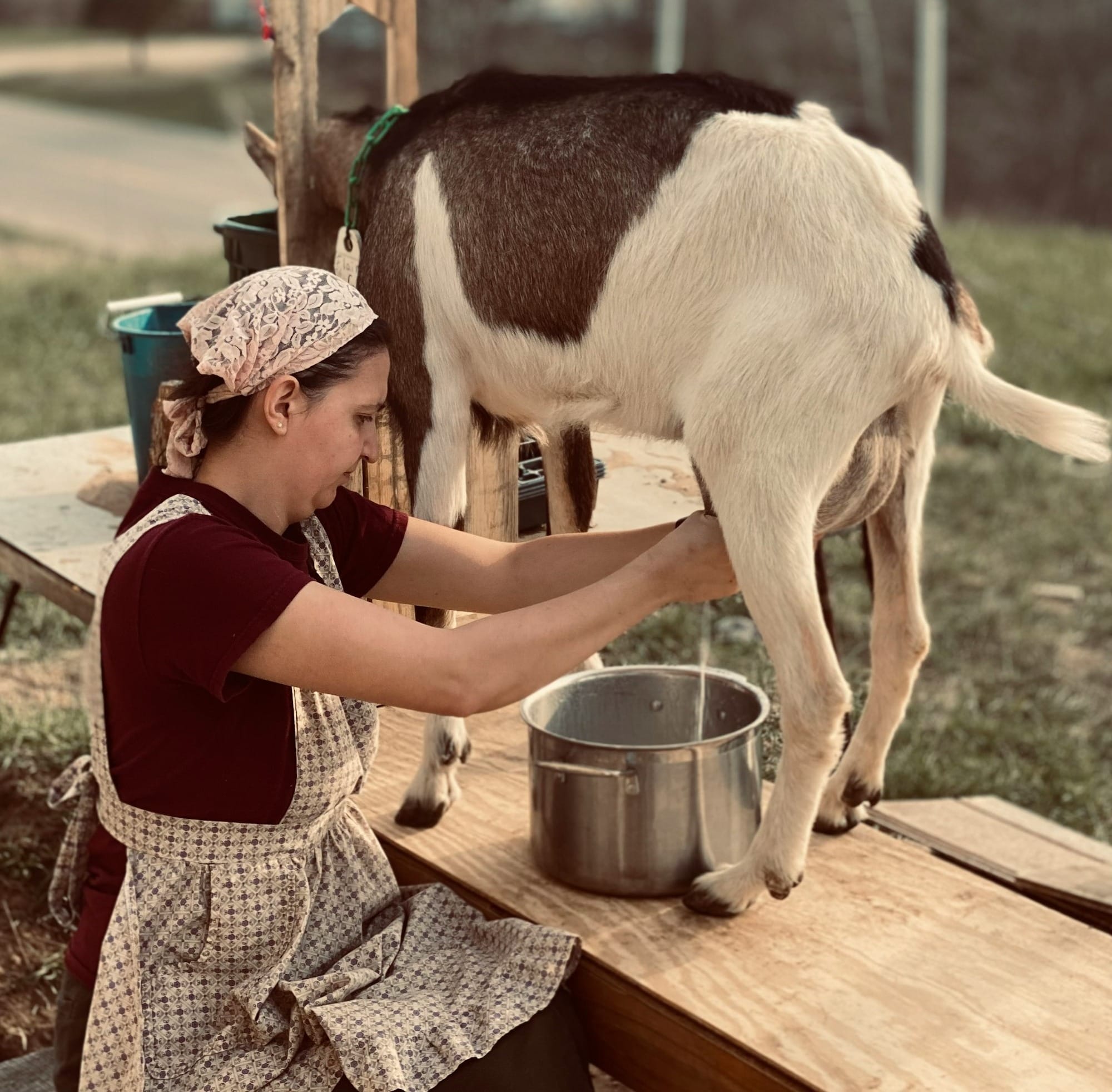 Goat Milk: Nature’s Nutritious Alternative