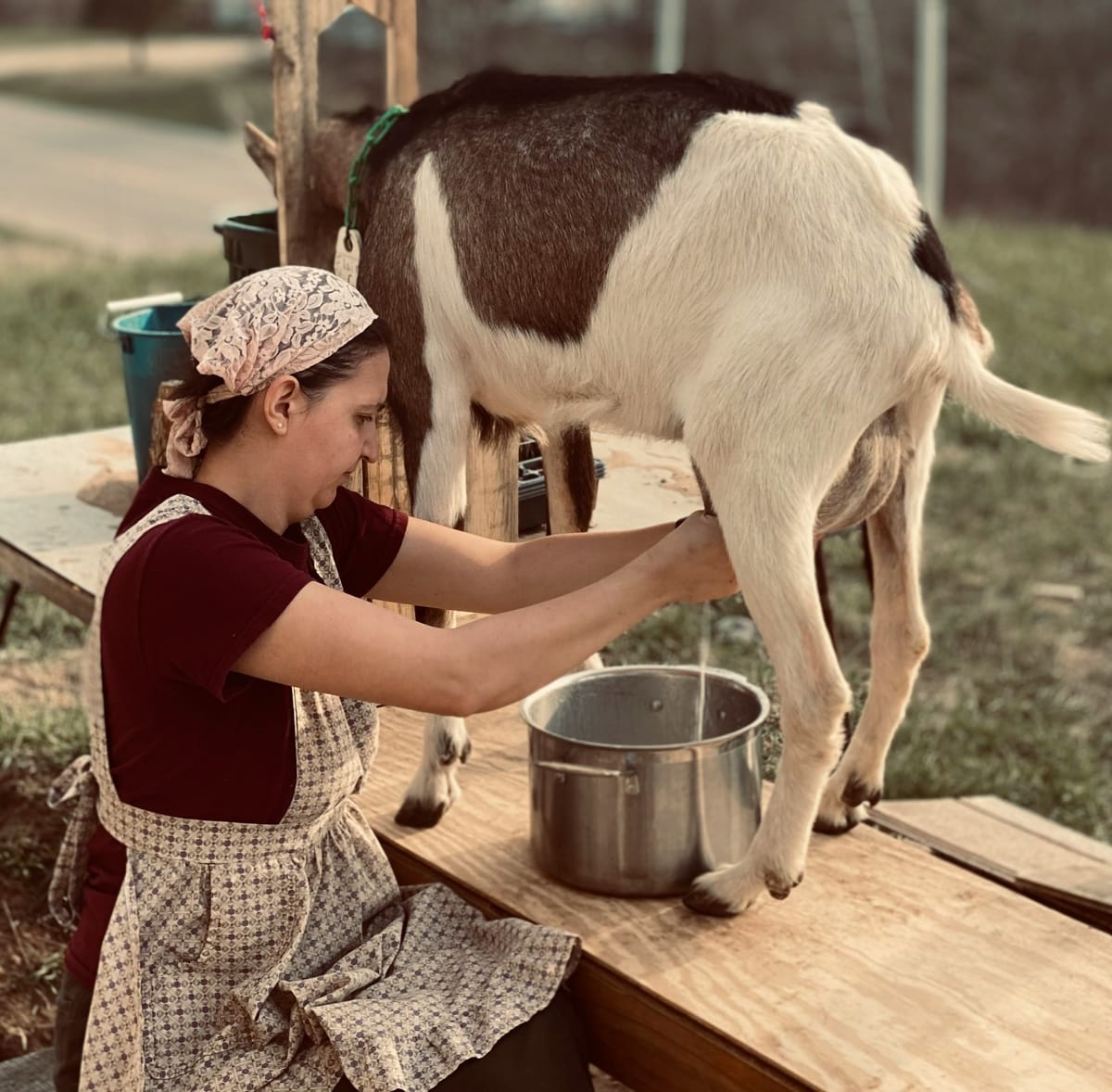 Goat Milk: Nature’s Nutritious Alternative
